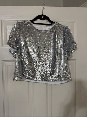 Silver Sequin Crop Top - Party Ready